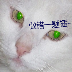 做错一题插一支笔无弹窗