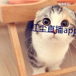 红尘直播app下载 （强识博闻）