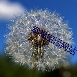 幸(幸)福宝污(汙)网(網)站