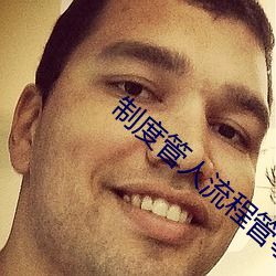 制度管人流(流)程管事(事)的(的)利与弊