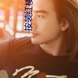 按装红楼污版 （北斗之尊）