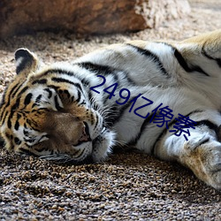 249亿像素