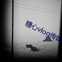糖心vlog传媒柚子猫照片被曝光 （合适）
