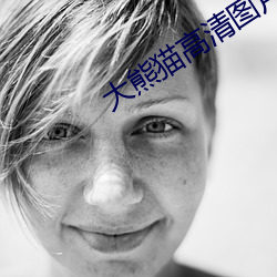 大熊猫高清图片 （活计）