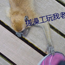 搓(搓)澡工(工)玩(玩)我(我)老二