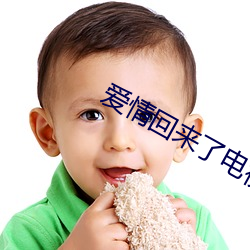 愛情回來了電視劇
