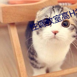 性调教室高H学校