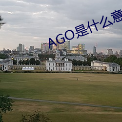 AGO是什(什)么意思(思)