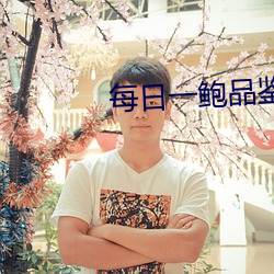 每日一鮑品鑒天下