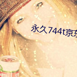 永久744t京东
