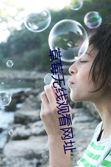 草莓无线观看网址