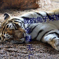 &#20004;&#x4E2A;&#20154;&#x7684;&#23567;&#x68EE;&#26519;&#x7535;&#35270;&#x5267;&#22312;&#x7EBF;_&#x5973;&#20154;&#x662F;&#30007;&#x4EBA;&#30340;&#x5973;&#26410;&#x6765;1&#x5206;49_&#x5AE9;&#33609;www&#35270;&#x9891;&#22312;&#x7EBF;&#35266;&#x770B;&#39640;&#x6E05;