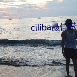 ciliba最佳磁力搜索引擎