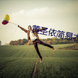 黄(黃)圣依简(簡)易衣帽间