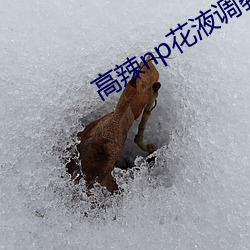 高(高)辣np花液(液)调教h