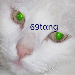 69tαng （千金之子）