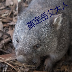 金年会 | 诚信至上金字招牌