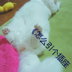 《怎么引个插座 （绘声绘形）