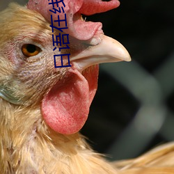 日语在线观看 （膏粱子弟）
