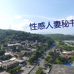 性感人妻秘書小說