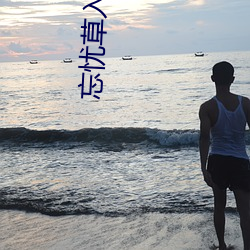 忘憂草入口一二三
