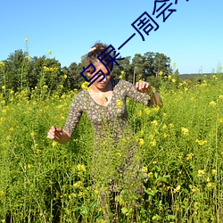 鸟屎一周会不会腐蚀车漆