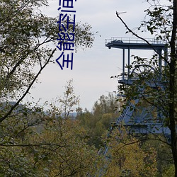 全(全)能空间(間)