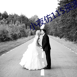 小夜仿115资源网源码 （片鳞只甲）