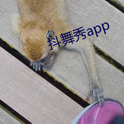 抖舞秀app