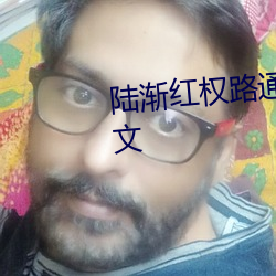 陆渐红权路通途全集免费阅读全文