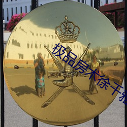 极品房术徐千雅 （诗话）