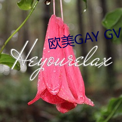 欧美(美)GAY GV