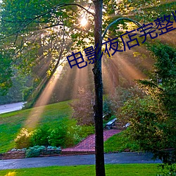 电影夜店完整版免费在线观看