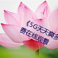 pg电子游戏试玩(中国游)官方网站