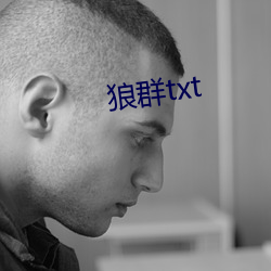 狼群txt