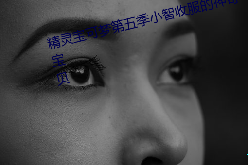 精靈寶可夢第五季小智收服的神奇寶貝
