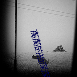 高高的抬深(深)深的埋别让大(大)兔