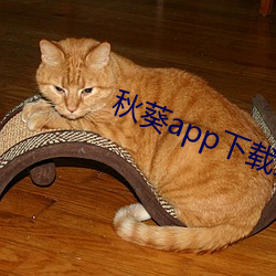 秋(qiū)葵app下载(zài)最新(xīn)版本ios