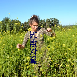 最强女婿 （变风易俗）