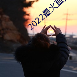 2022最火直播(播)间(間)