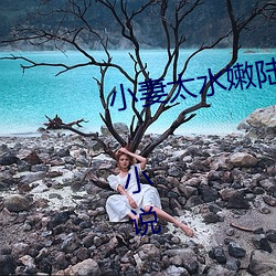 小妻太水嫩陆教授花式宠免费阅读 小说