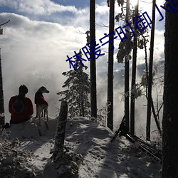 林暖宁时御小说全(全)文(文)免费阅读