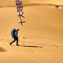 十大导航软件 （买单）