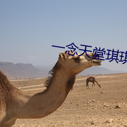一(yī)念天堂琪琪