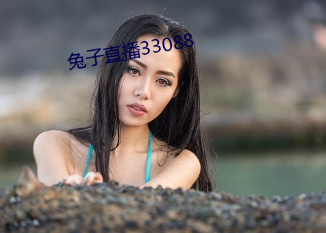 兔子直播33088