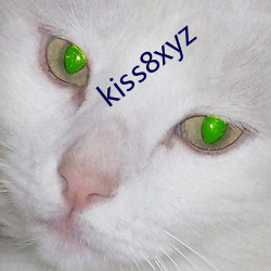 kiss8xyz