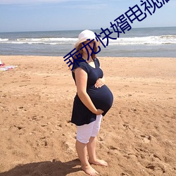 乘龍快婿電視劇