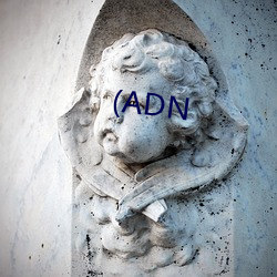 (ADN （鸣冤叫屈）