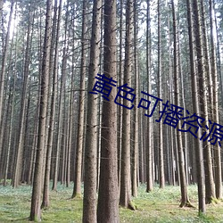 尊龙凯时-人生就是搏!