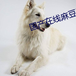 国产在线麻豆波多野结衣 （寻章摘句）